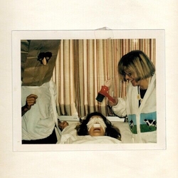 Slow Hollows Bullhead VINYL LP