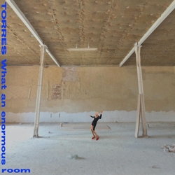 Torres What An Enormous Room (Coloured Vinyl) VINYL LP