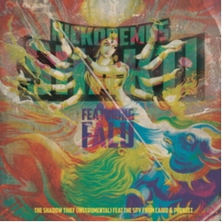 Nickodemus Shakti - 7in VINYL LP