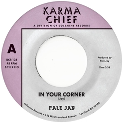 Pale Jay-In Your Corner B W Bewilderment VINYL LP