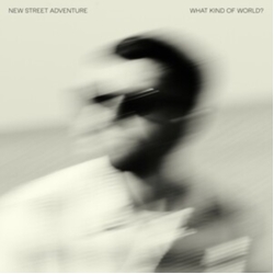New Street Adventure Feat. Nick Corbin What Kind Of World? VINYL LP