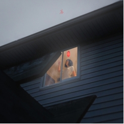 Kills Birds Crave VINYL LP