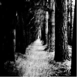Stray Theories Falter VINYL LP