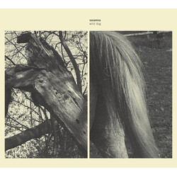 Susanna Wild Dog Vinyl LP