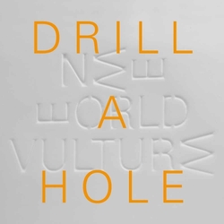 New World Vulture 7-Drill A Hole Vinyl