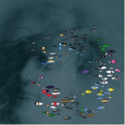 Moddi Bratebrann (Uk) Vinyl