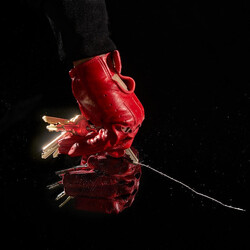 Datarock Face The Brutality