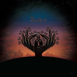 Laughing Stock Shelter (Uk) VINYL LP