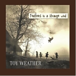 Toy Weather Feathers In A Strange Wind VINYL LP