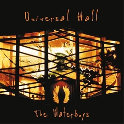 The Waterboys Universal Hall VINYL LP