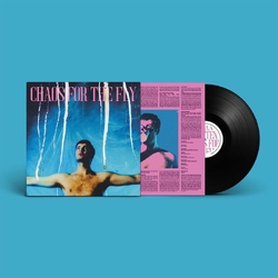 Grian Chatten Chaos For The Fly VINYL LP