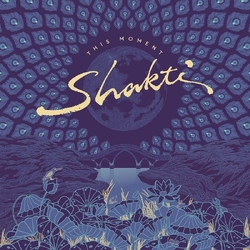 Shakti This Moment (Ogv) VINYL LP