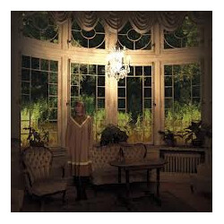 AnnaMy Woodpecker Vinyl LP