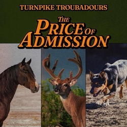 Turnpike Troubadours Price Of Admission VINYL LP