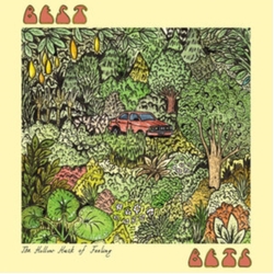 Best Bets Hollow Husk Of Feeling The VINYL LP