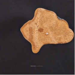 Michael Beach-Gravity Repulsion VINYL LP