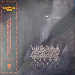 Mumble Tide Everything Ugly Vinyl LP