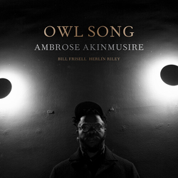 Ambrose Akinmusire Owl Song VINYL LP