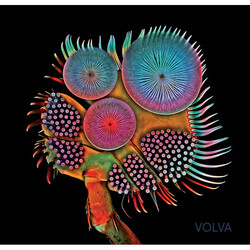 Echolot (3) Volva Vinyl 2 LP