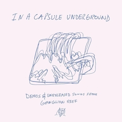 Wand In A Capsule Underground VINYL LP
