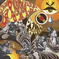 Citadel Foundation Cycle (Colv) (Org) VINYL LP