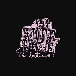 The Intima Peril & Panic VINYL LP