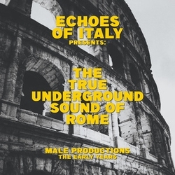 The True Underground Sound Of Rome Male Productions - The Early Years VINYL LP