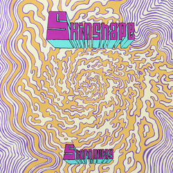 Skinshape Stornoway / Can You Play Me A Song? VINYL LP
