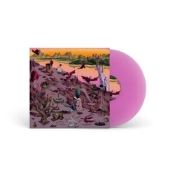 One Step Closer This Place You Know VINYL LP