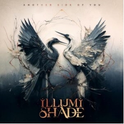 Illumishade Another Side Of You VINYL LP
