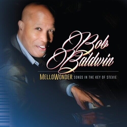 Bob Baldwin Mellowonder- Songs In The Key Of Stevie VINYL LP