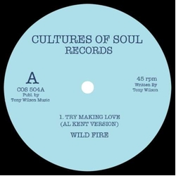 Wild Fire Try Making Love (Al Kent Version) VINYL LP