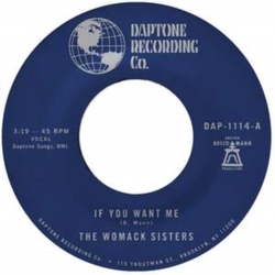 The Womack Sisters-If You Want Me I Just Dont Wa VINYL LP