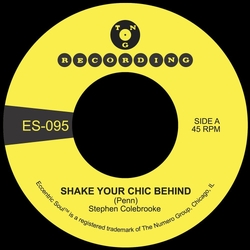 Stephen Colebrooke-Shake Your Chic Behind B W Stay Away From Music VINYL LP
