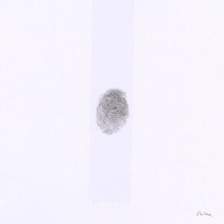 Jesso Jr.,Tobias S H I N E - White (Colv) (Wht) VINYL LP