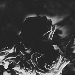 Hexis & Telos Split VINYL LP