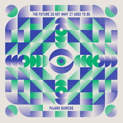Pajaro Sunrise The Future Is Not What It Used To Be VINYL LP