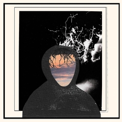 Doseone / Steel Tipped Dove All Portrait No Chorus (Aus) VINYL LP