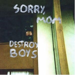 Destroy Boys Sorry Mom (Uk) VINYL LP