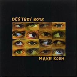 Destroy Boys Make Room VINYL LP