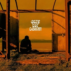 Hypothetics Gets Let Down! VINYL LP