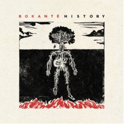 Bokanté History VINYL LP