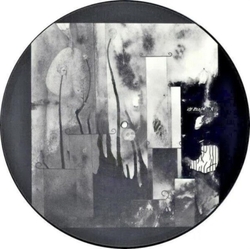 Current 93 In Menstrual Night (12" Picture Disc) VINYL LP