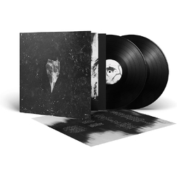 Bees Made Honey In The Vein Tree Aion (Gate) VINYL LP