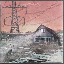Exploring Birdsong Dancing In The Face Of Danger / The Thing With Feathers Vinyl LP