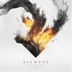 Siamese Elements VINYL LP