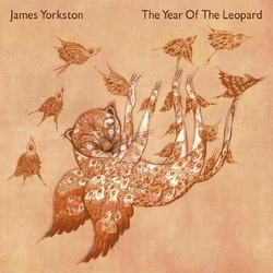 James Yorkston The Year Of The Leopard VINYL LP