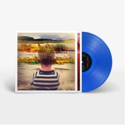 Villagers Awayland VINYL LP