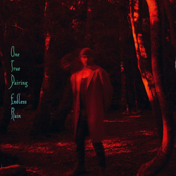 One True Pairing Endless Rain (Uk) VINYL LP