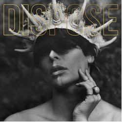 Plot In You Dispose (Colv) (Gol) (Aniv) VINYL LP